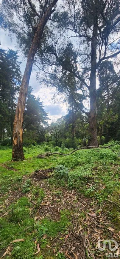 Terreno en Venta en Popo Park, Atlautla, México | NEX-255817 | iad México | Foto 2 de 11