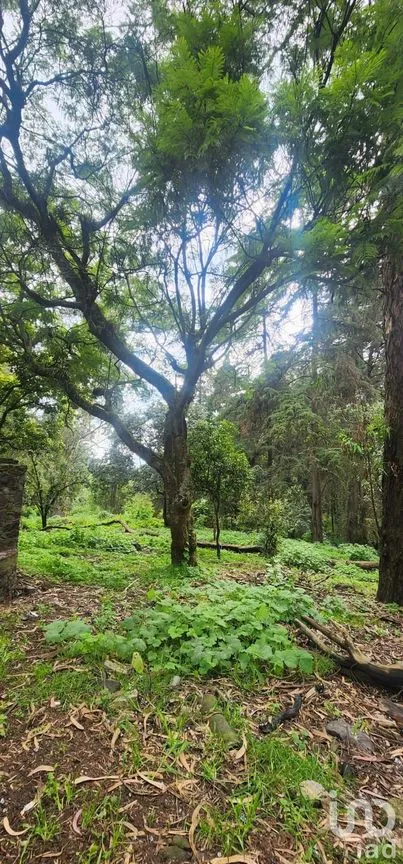 Terreno en Venta en Popo Park, Atlautla, México | NEX-255817 | iad México | Foto 11 de 11