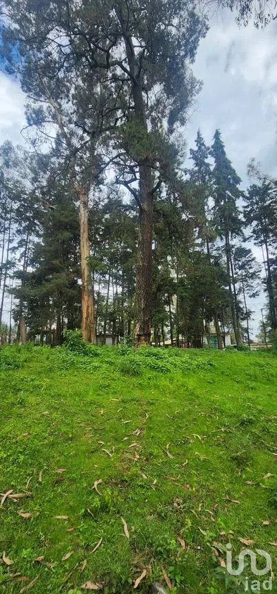 Terreno en Venta en Popo Park, Atlautla, México | NEX-255817 | iad México | Foto 3 de 11