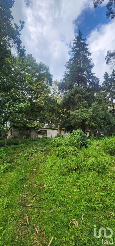 Terreno en Venta en Popo Park, Atlautla, México | NEX-255817 | iad México | Foto 4 de 11