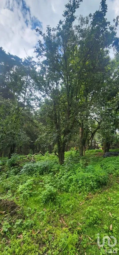 Terreno en Venta en Popo Park, Atlautla, México | NEX-255817 | iad México | Foto 5 de 11