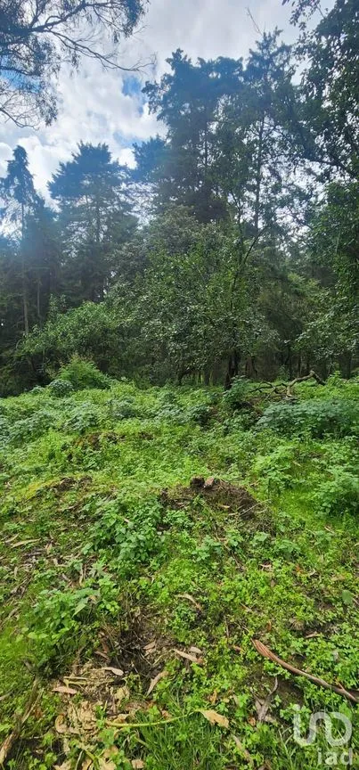 Terreno en Venta en Popo Park, Atlautla, México | NEX-255817 | iad México | Foto 6 de 11