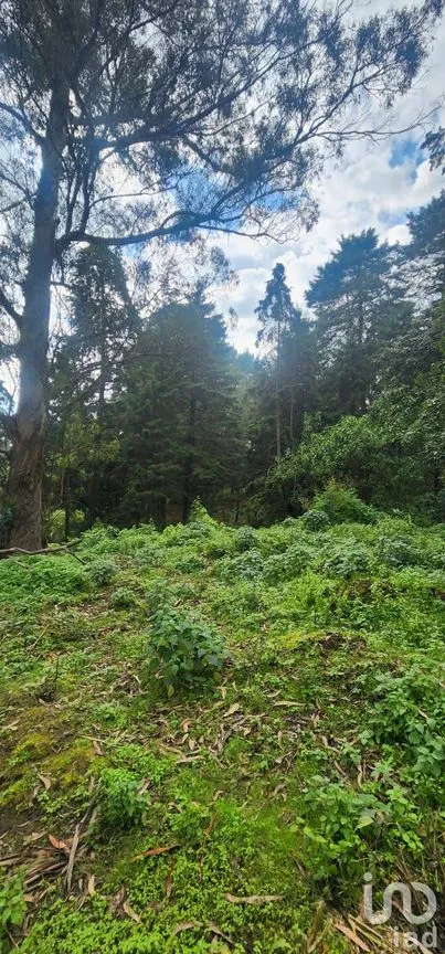 Terreno en Venta en Popo Park, Atlautla, México | NEX-255817 | iad México | Foto 7 de 11