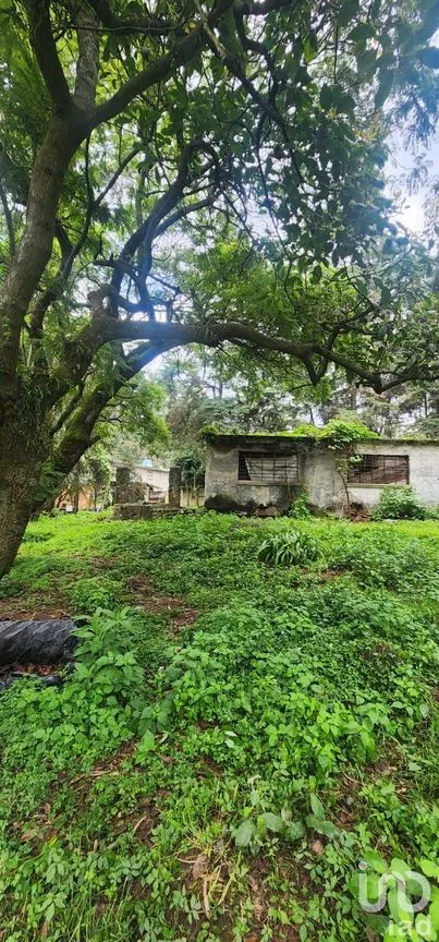 Terreno en Venta en Popo Park, Atlautla, México | NEX-255817 | iad México | Foto 8 de 11