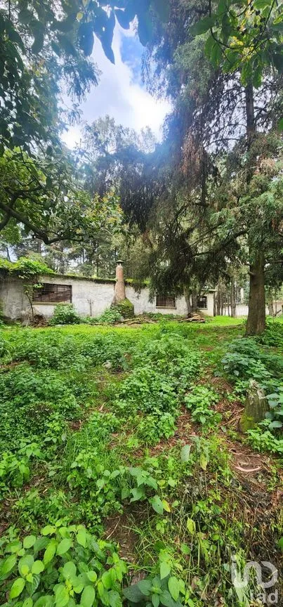 Terreno en Venta en Popo Park, Atlautla, México | NEX-255817 | iad México | Foto 9 de 11