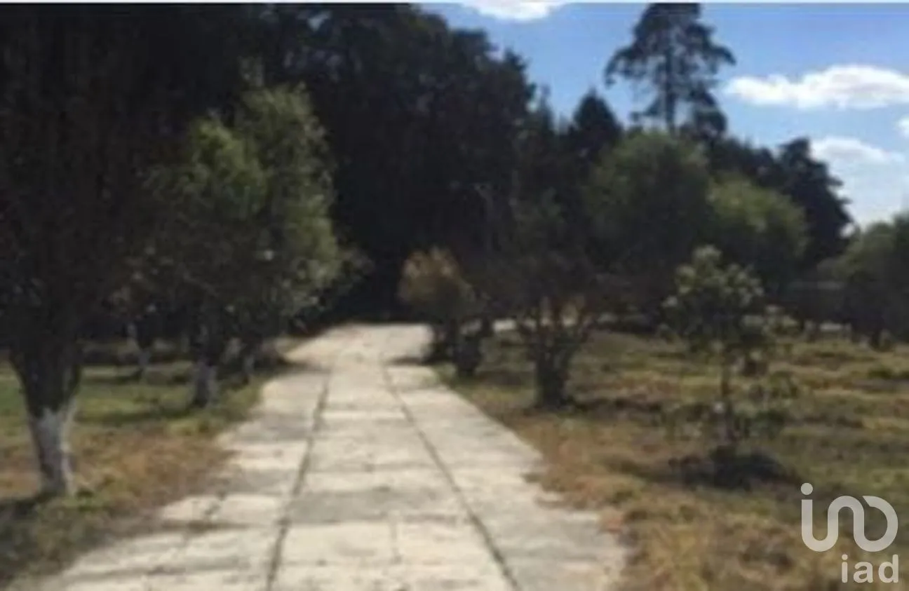 Rancho en Venta en San Juan, Atlautla, México | NEX-259131 | iad México | Foto 13 de 22