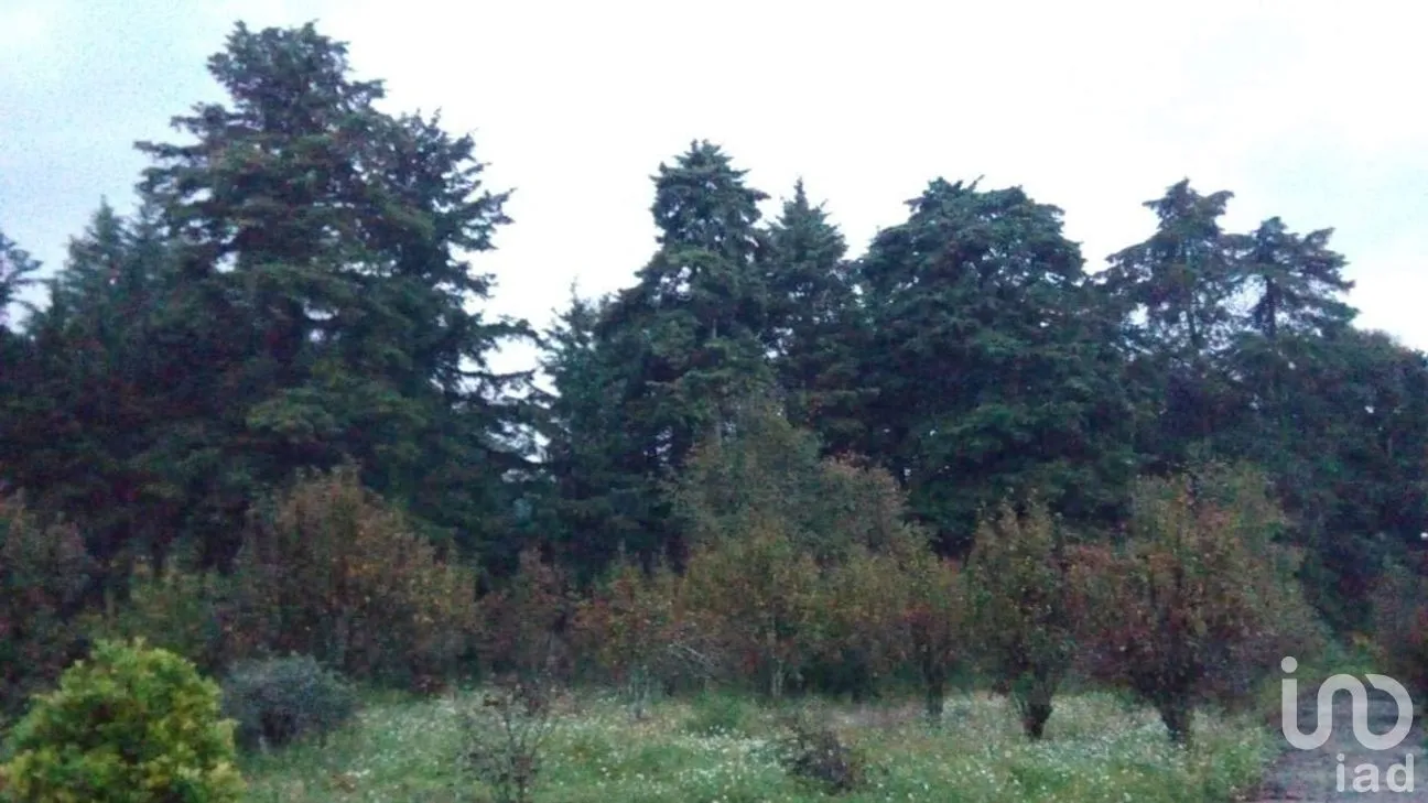 Rancho en Venta en San Juan, Atlautla, México | NEX-259131 | iad México | Foto 19 de 22