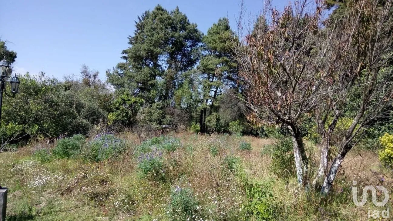 Rancho en Venta en San Juan, Atlautla, México | NEX-259131 | iad México | Foto 20 de 22