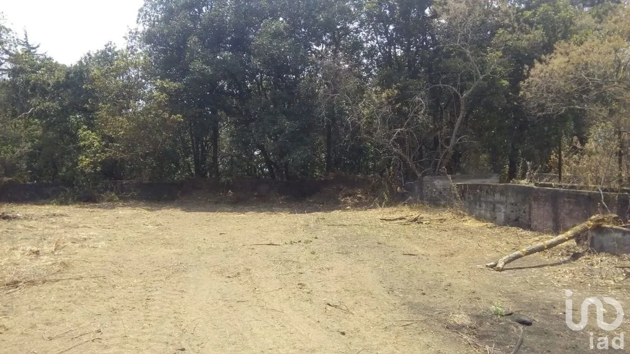 Rancho en Venta en San Juan, Atlautla, México | NEX-259131 | iad México | Foto 21 de 22