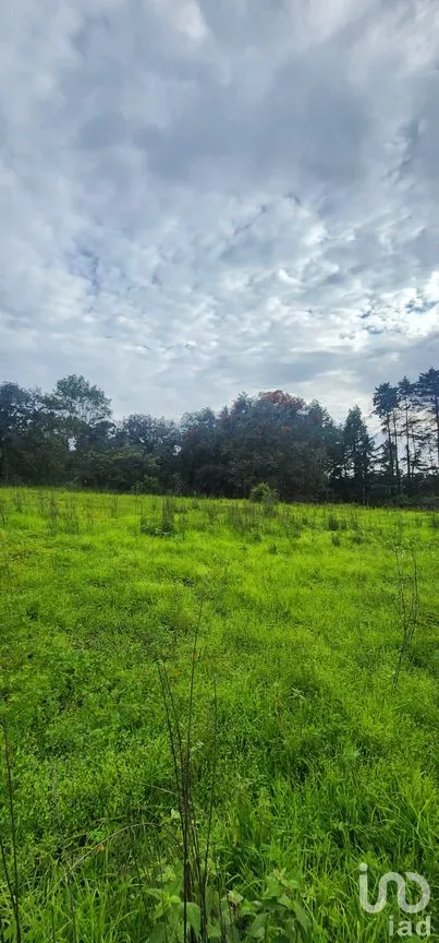 Terreno en Venta en San Juan, Atlautla, México | NEX-259132 | iad México | Foto 2 de 4