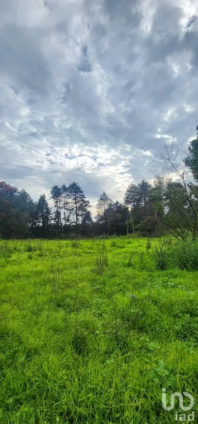 Terreno en Venta en San Juan, Atlautla, México | NEX-259132 | iad México | Foto 3 de 4