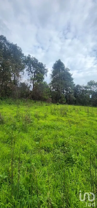 Terreno en Venta en San Juan, Atlautla, México | NEX-259132 | iad México | Foto 4 de 4