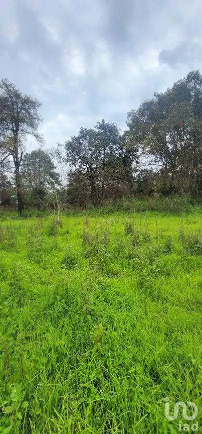 Terreno en Venta en San Juan, Atlautla, México | NEX-259132 | iad México | Foto 1 de 4