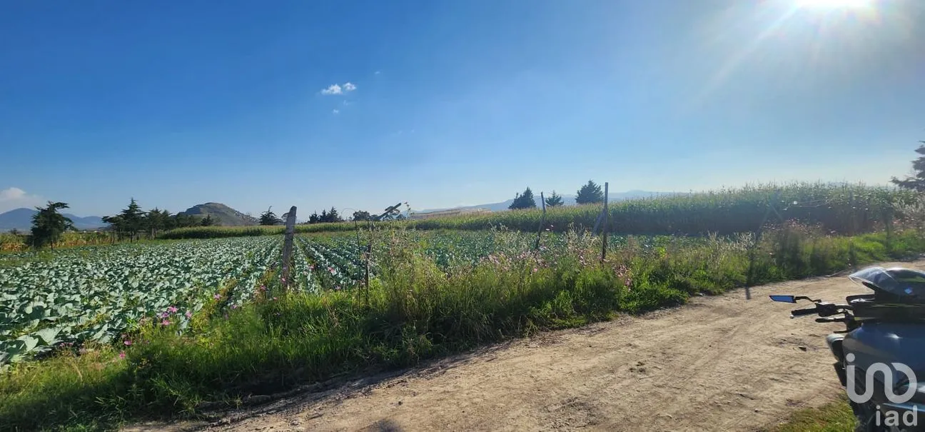 Terreno en Venta en San Gregorio Cuautzingo, Chalco, México | NEX-262861 | iad México | Foto 3 de 6