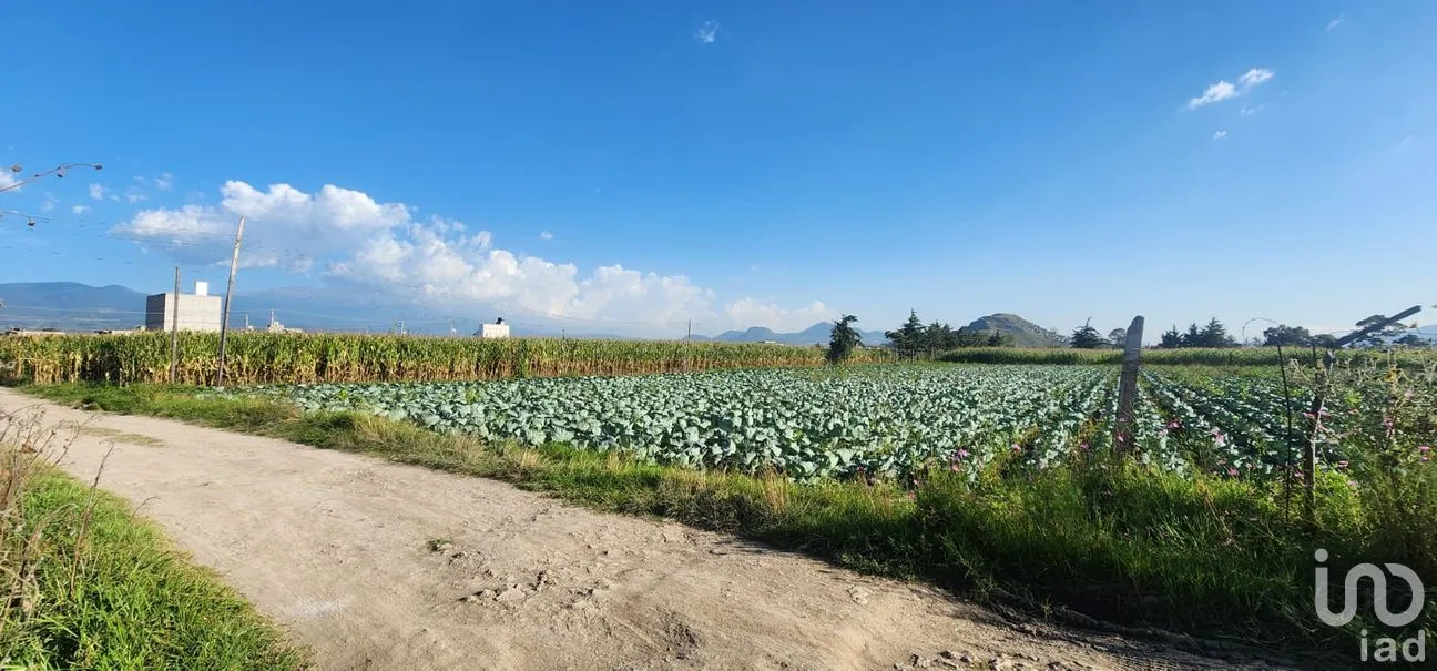 Terreno en Venta en San Gregorio Cuautzingo, Chalco, México | NEX-262861 | iad México | Foto 1 de 6