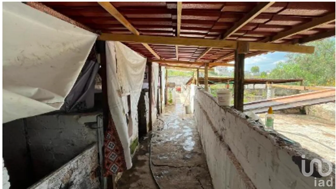Rancho en Venta en Santa Catarina Ayotzingo, Chalco, México | NEX-265316 | iad México | Foto 8 de 9