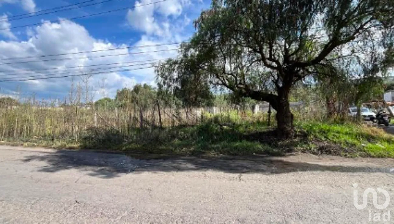 Terreno en Venta en Santa Catarina Ayotzingo, Chalco, México | NEX-265320 | iad México | Foto 3 de 6