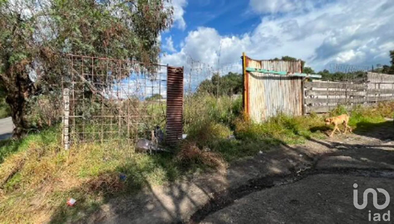 Terreno en Venta en Santa Catarina Ayotzingo, Chalco, México | NEX-265320 | iad México | Foto 4 de 6