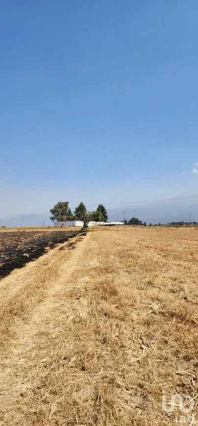 Terreno en Venta en San Diego Huehuecalco, Amecameca, México | NEX-290895 | iad México | Foto 17 de 19