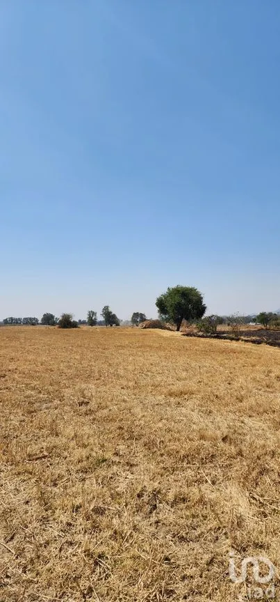 Terreno en Venta en San Diego Huehuecalco, Amecameca, México | NEX-290895 | iad México | Foto 10 de 19