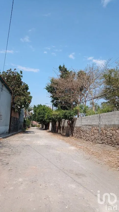 Terreno en Venta en Real del Puente, Xochitepec, Morelos | NEX-239472 | iad México | Foto 7 de 11