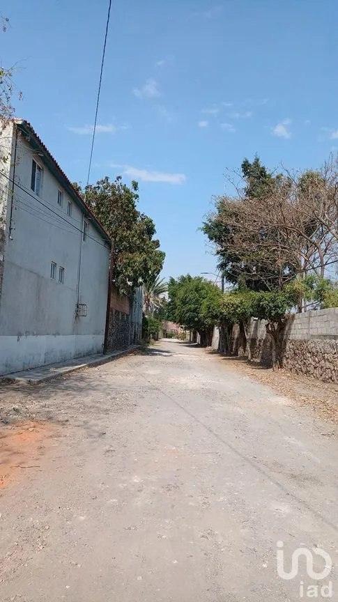 Terreno en Venta en Real del Puente, Xochitepec, Morelos | NEX-239472 | iad México | Foto 8 de 11
