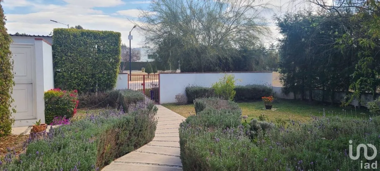 Casa en Venta en Club de Golf, Pachuca de Soto, Hidalgo | NEX-239840 | iad México | Foto 6 de 37