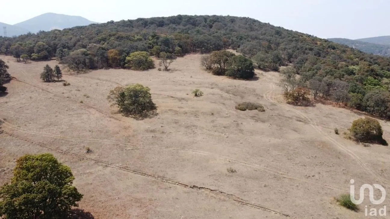 Terreno en Venta en Jilotepec de Molina Enríquez, Jilotepec, México | NEX-240419 | iad México | Foto 12 de 29