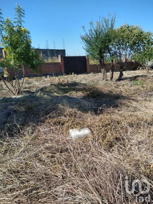 Terreno en Venta en Jilotepec de Molina Enríquez, Jilotepec, México | NEX-240419 | iad México | Foto 13 de 29