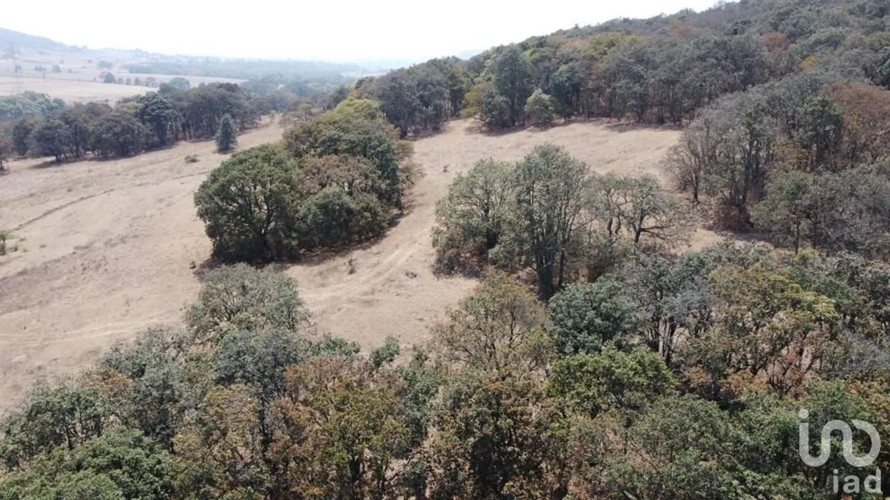 Terreno en Venta en Jilotepec de Molina Enríquez, Jilotepec, México | NEX-240419 | iad México | Foto 22 de 29