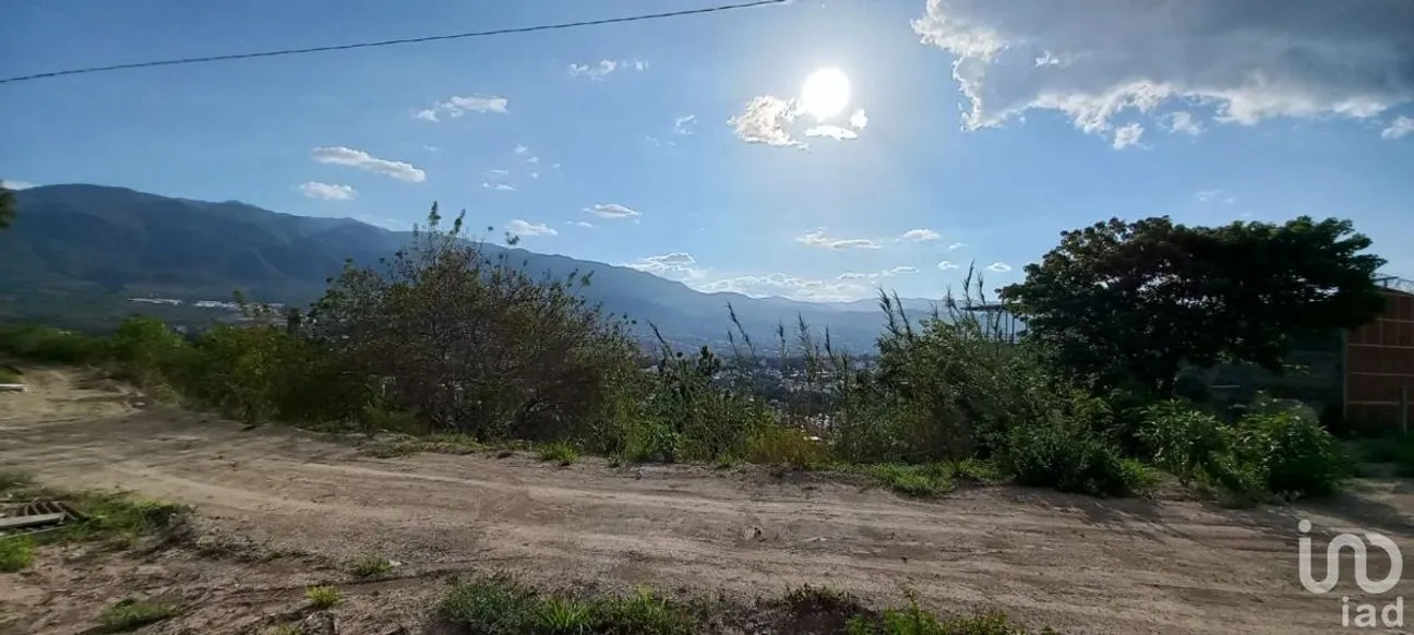 Terreno en Venta en Jilotepec de Molina Enríquez, Jilotepec, México | NEX-240419 | iad México | Foto 26 de 29