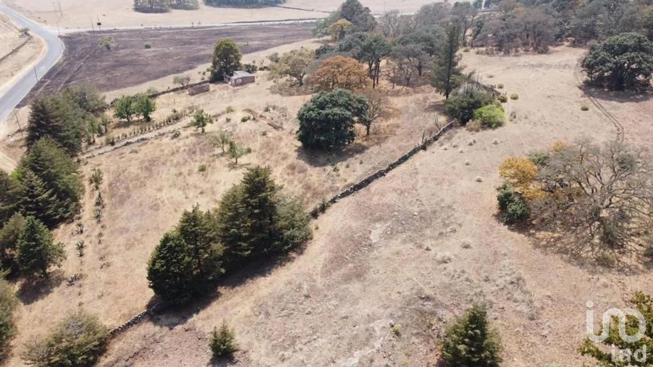 Terreno en Venta en Jilotepec de Molina Enríquez, Jilotepec, México | NEX-240419 | iad México | Foto 6 de 29