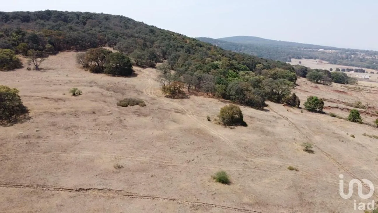 Terreno en Venta en Jilotepec de Molina Enríquez, Jilotepec, México | NEX-240419 | iad México | Foto 7 de 29
