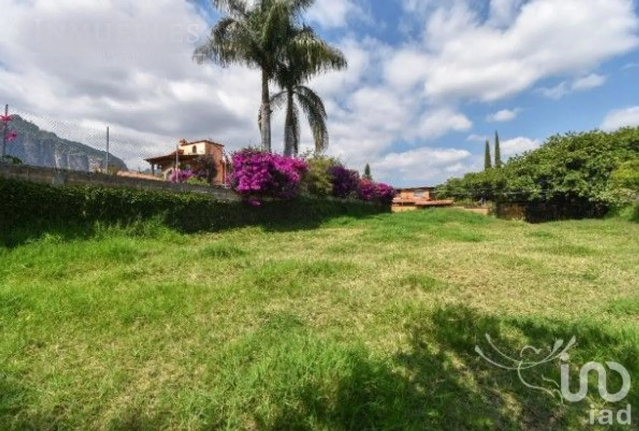 Terreno en Venta en Del Rosario, Tlayacapan, Morelos | NEX-241099 | iad México | Foto 2 de 6