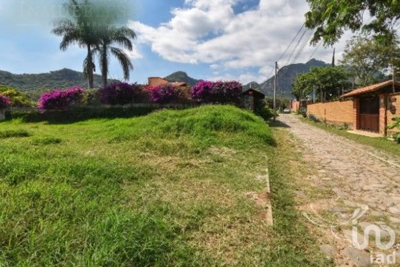 Terreno en Venta en Del Rosario, Tlayacapan, Morelos | NEX-241099 | iad México | Foto 4 de 6