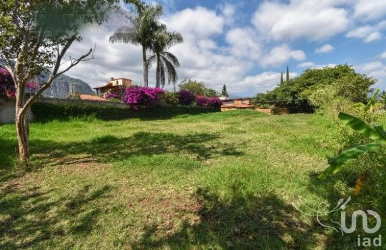 Terreno en Venta en Del Rosario, Tlayacapan, Morelos | NEX-241099 | iad México | Foto 6 de 6
