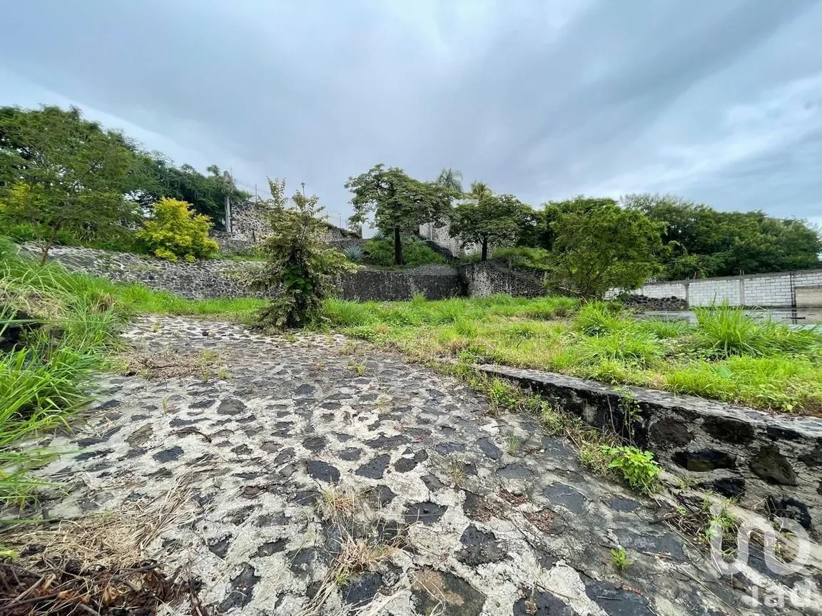 Terreno en Venta en Lomas de Trujillo, Emiliano Zapata, Morelos | NEX-234939 | iad México | Foto 10 de 19