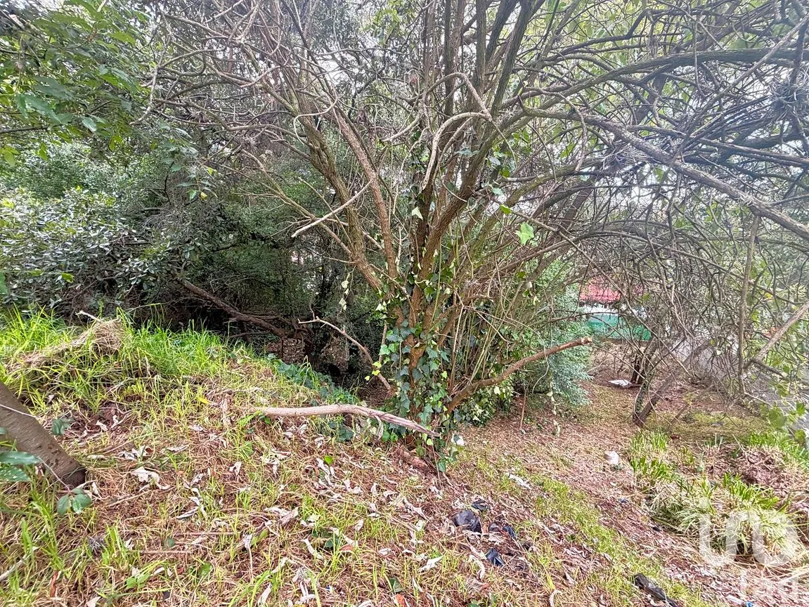 Terreno en Venta en Condado de Sayavedra, Atizapán de Zaragoza, México | NEX-305788 | iad México | Foto 8 de 9