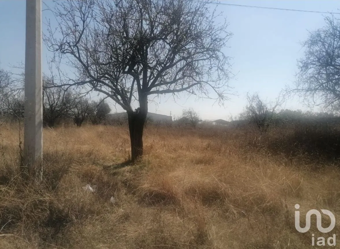 Terreno en Venta en Primero, Huejotzingo, Puebla | NEX-255547 | iad México | Foto 2 de 5