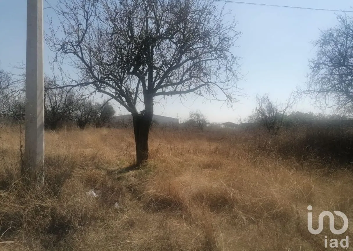 Terreno en Venta en Primero, Huejotzingo, Puebla | NEX-255547 | iad México | Foto 4 de 5