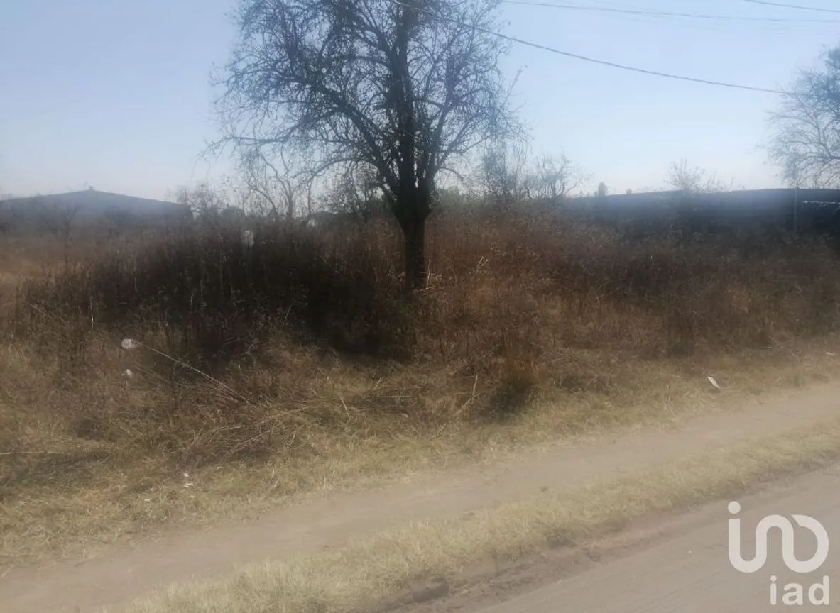 Terreno en Venta en Primero, Huejotzingo, Puebla | NEX-255547 | iad México | Foto 5 de 5