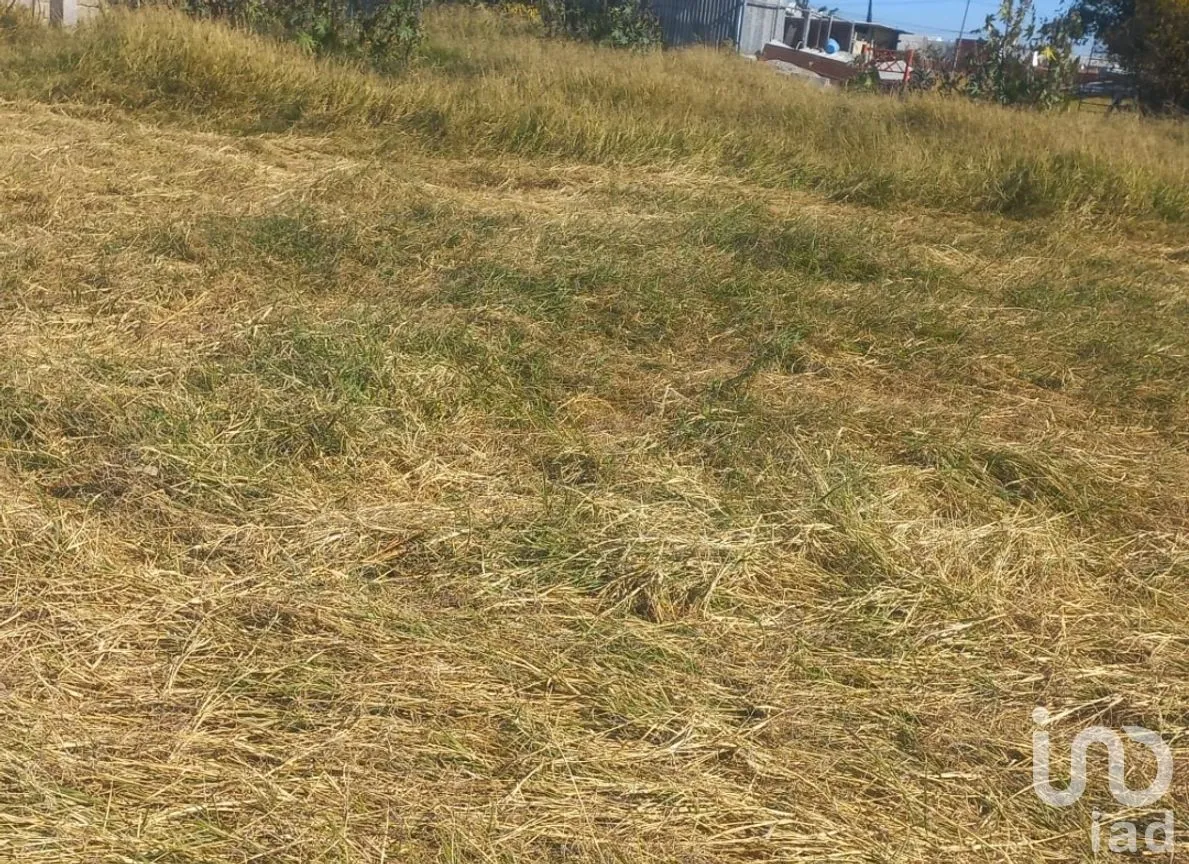 Terreno en Venta en San Bernardino Tlaxcalancingo, San Andrés Cholula, Puebla | NEX-283253 | iad México | Foto 12 de 14