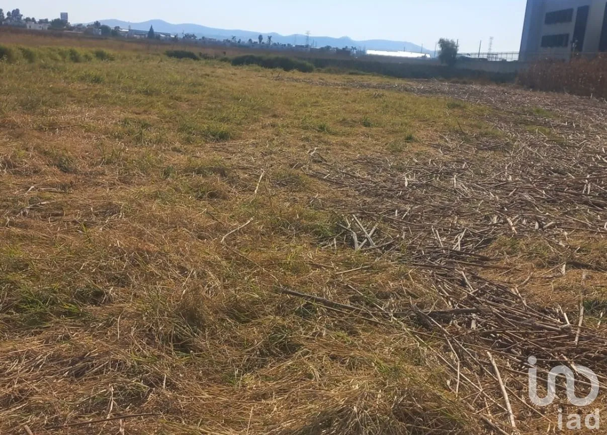Terreno en Venta en San Bernardino Tlaxcalancingo, San Andrés Cholula, Puebla | NEX-283253 | iad México | Foto 8 de 14