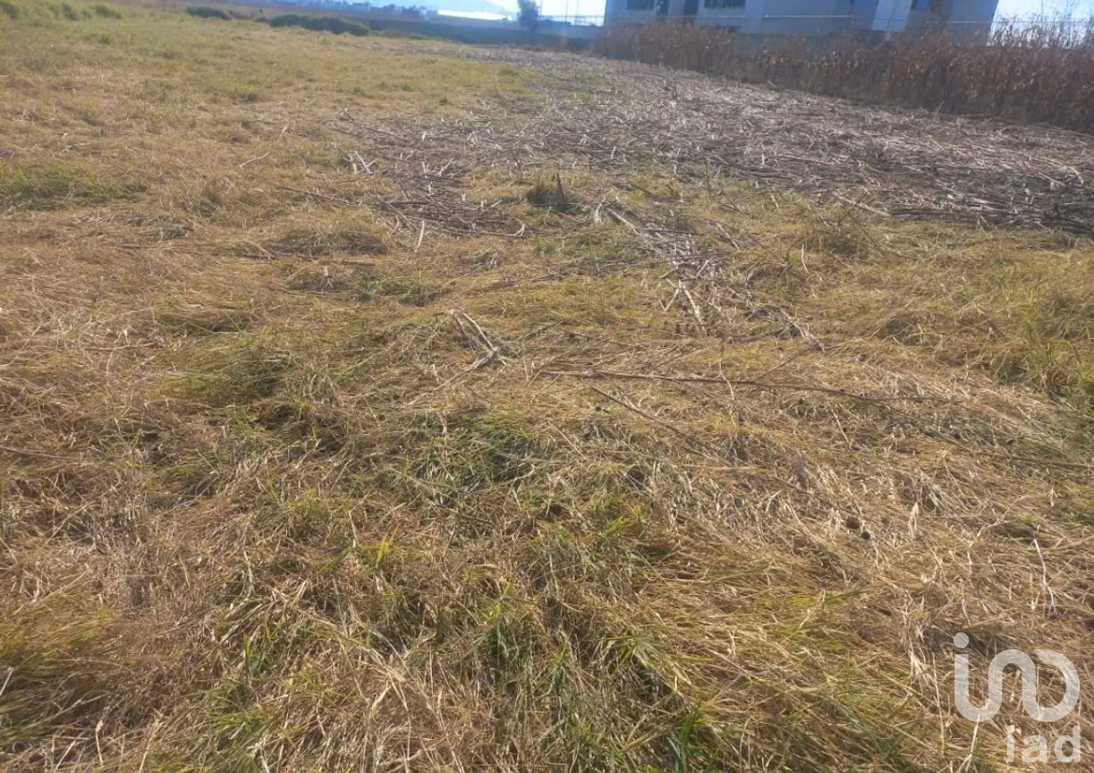 Terreno en Venta en San Bernardino Tlaxcalancingo, San Andrés Cholula, Puebla | NEX-283253 | iad México | Foto 10 de 14
