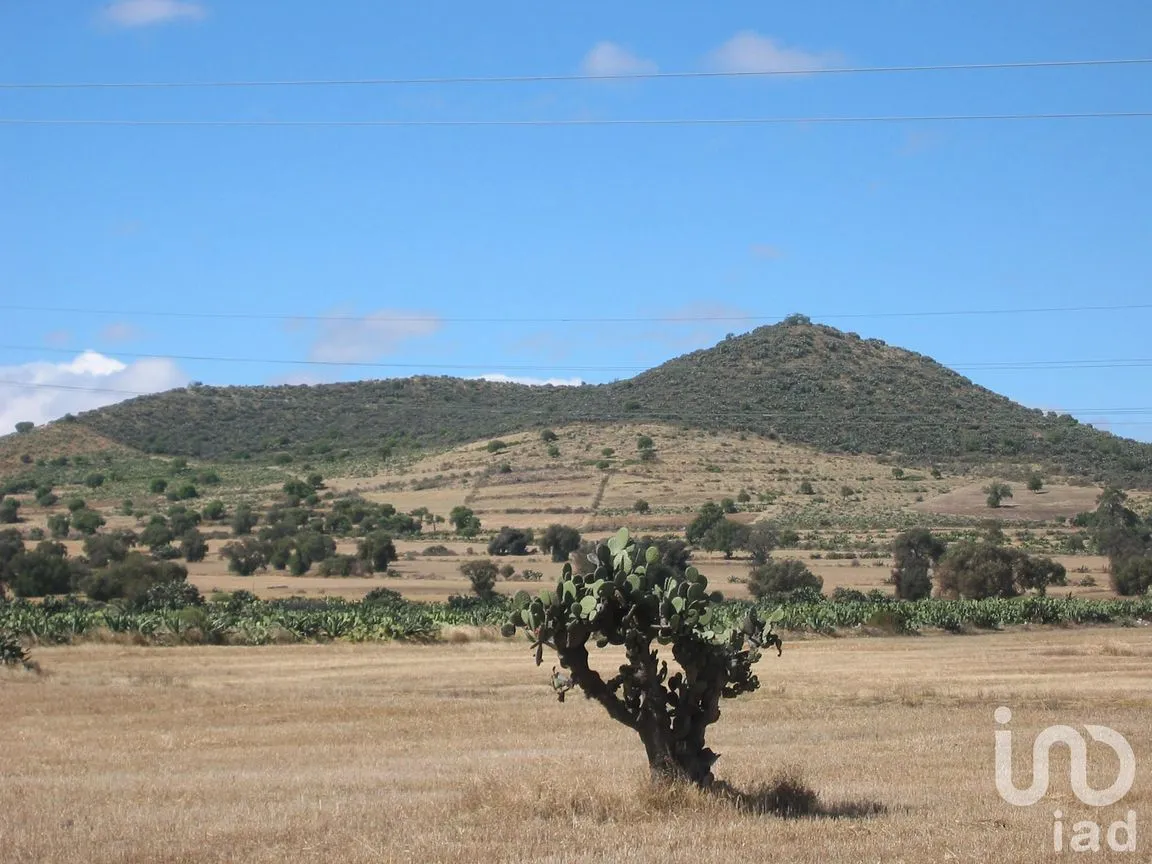 Terreno en Venta en Xala, Axapusco, México | NEX-246913 | iad México | Foto 3 de 4