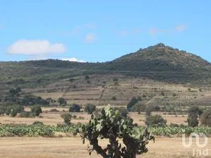 NEX-246913 - Terreno en Venta en Xala, CP 55963, México.