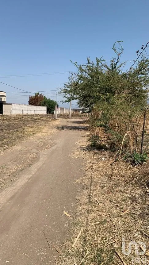 Terreno en Venta en Atlatlahucan, Atlatlahucan, Morelos | NEX-248403 | iad México | Foto 7 de 8