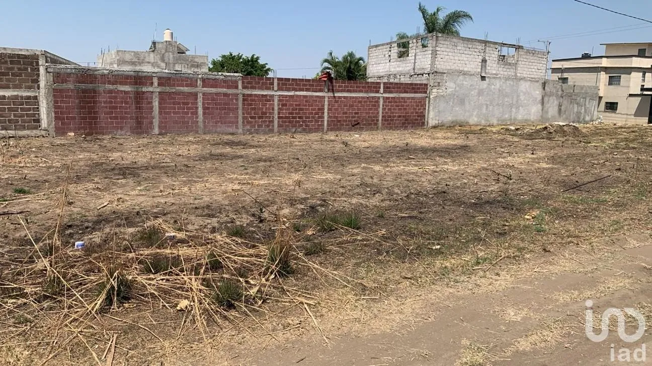 Terreno en Venta en Atlatlahucan, Atlatlahucan, Morelos | NEX-248403 | iad México | Foto 8 de 8
