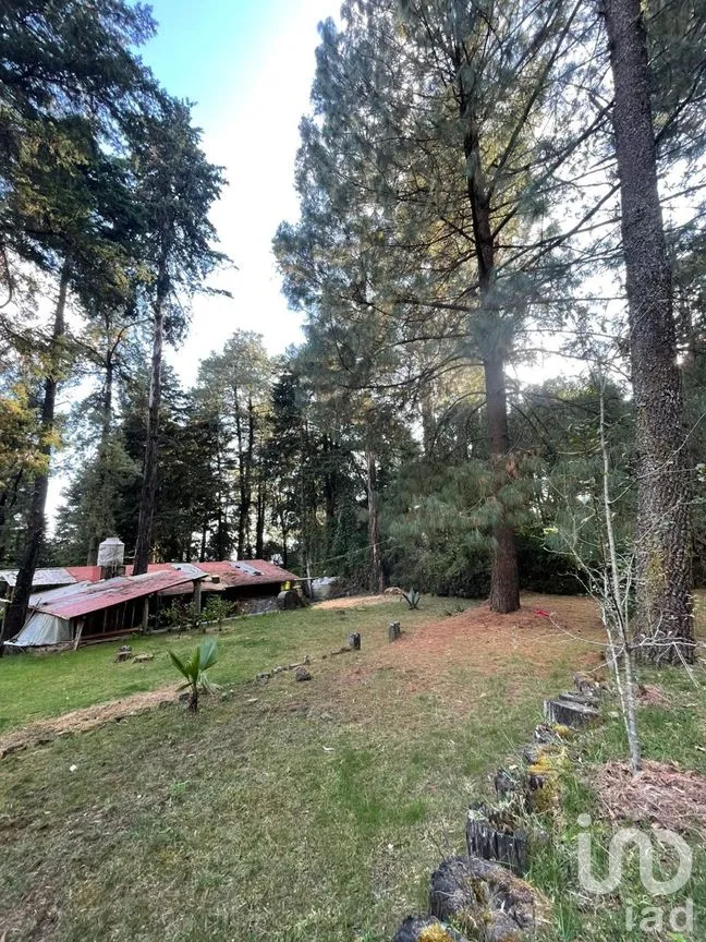 Casa en Venta en Atlixtac, Huitzilac, Morelos | NEX-285644 | iad México | Foto 12 de 17