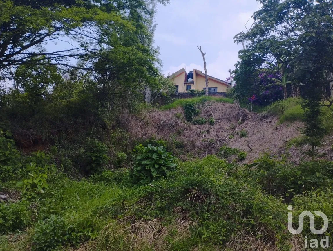 Terreno en Venta en Lomas del Tejar, Xalapa, Veracruz de Ignacio de la Llave | NEX-250771 | iad México | Foto 7 de 8
